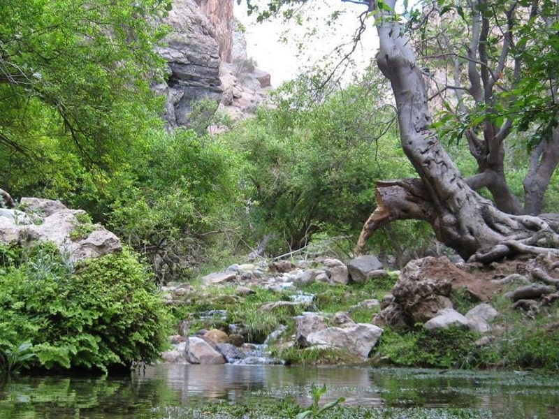 چهل‌چشمه آباده | جاهای دیدنی و جاذبه‌های گردشگری آباده