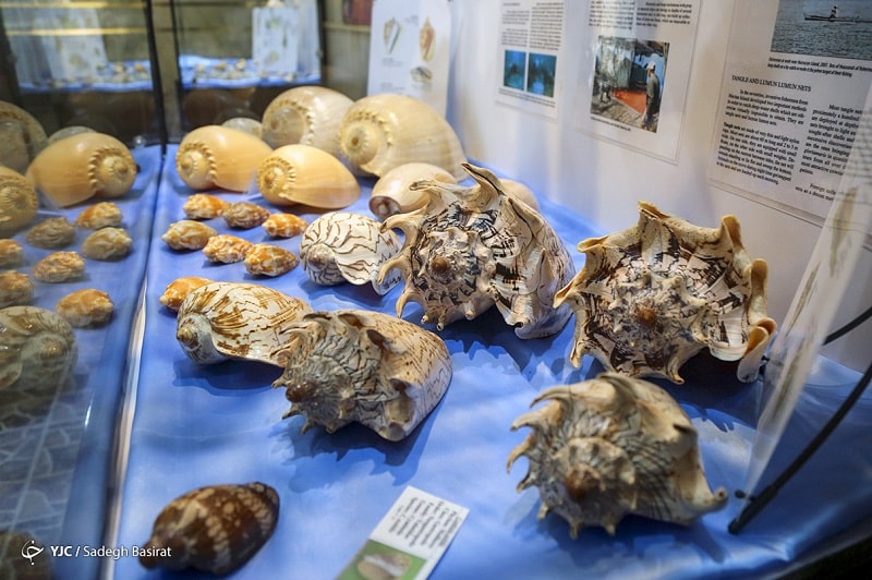 Isfahan Seashell Museum | Isfahan Iran Tourist Attractions