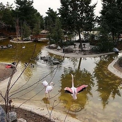 Khorasan Parks & Gardens | Most Beautiful Khorasan Parks & Gardens