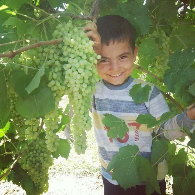 ملایر شهر منبت و گیوه | سوغات، شیرینی و صنایع دستی ملایر