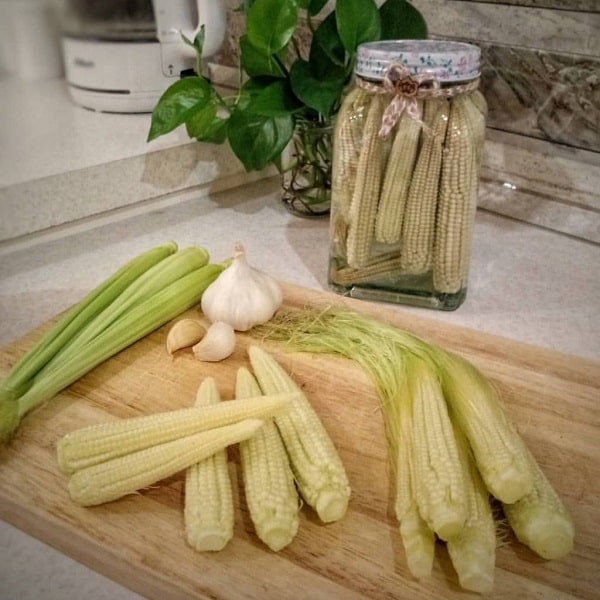 ترشی بچه بلال