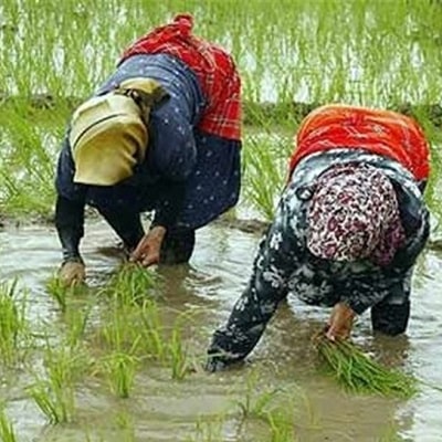 کمربند قاسم‌آبادی | جاذبه گردشگری قاسم‌آباد ایران