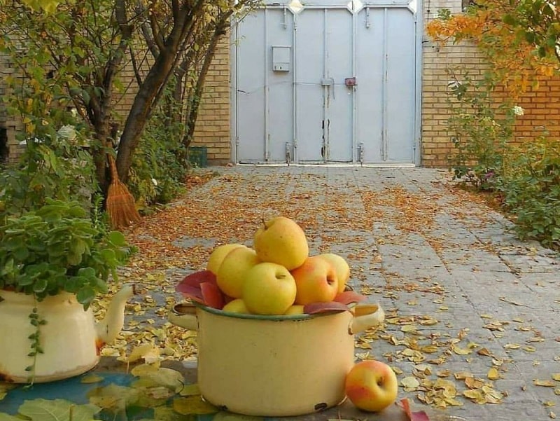 Persian Garden Products | Tabriz Sweet & Food Souvenirs