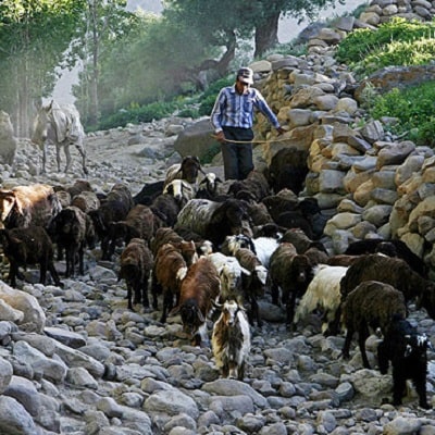 Tabriz Lighvan Valley | Tourist Attractions in Tabriz Iran | Tabriz Tourist Attraction