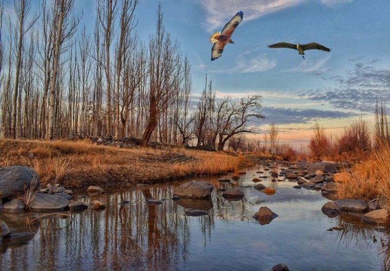 Zanjan Pari Lake | Zanjan Iran Tourist Attractions