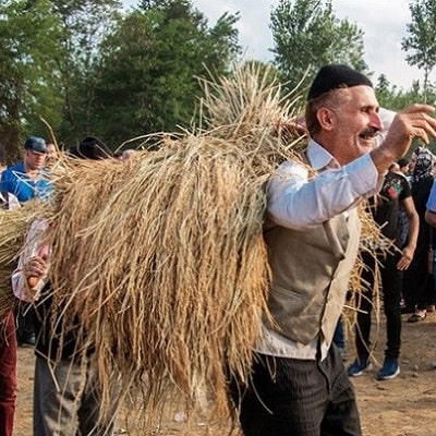 جشنواره برنج در کشورهای مختلف