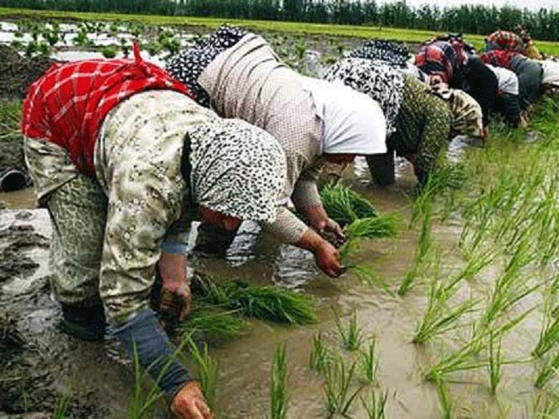 کمربند قاسم‌آبادی | قاسم‌آباد جاذبه گردشگری ایران