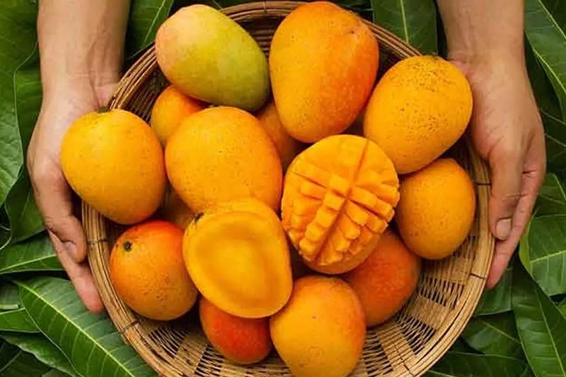 انبه | سوغات خوراکی سیستان بلوچستان، زاهدان، چابهار، ایرانشهر، زابل