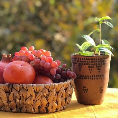 Kalporgan Pottery Museum | Tourist Attractions in Sistan Balochistan Iran