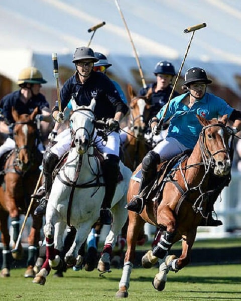 میراث ناملموس ایران در یونسکو | چوگان