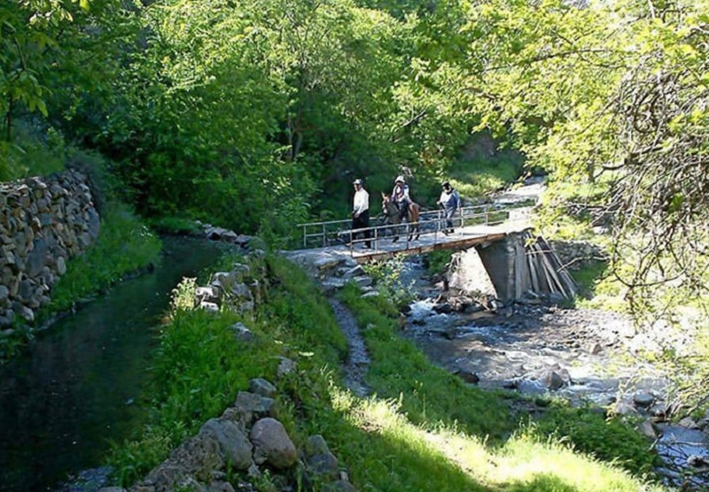 روستای شیت جاهای سرسبز زنجان | جاهای دیدنی و جاذبه‌های گردشگری زنجان